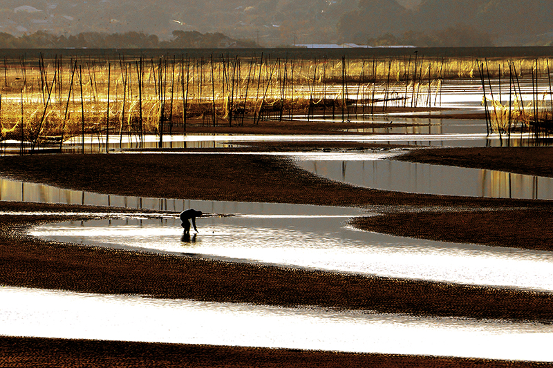 写真：なぜ、出水市はエコツーリズムに取り組むのか